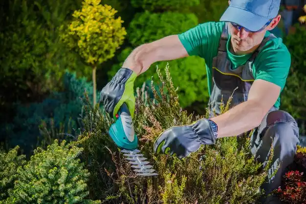 landscaping services Hickman